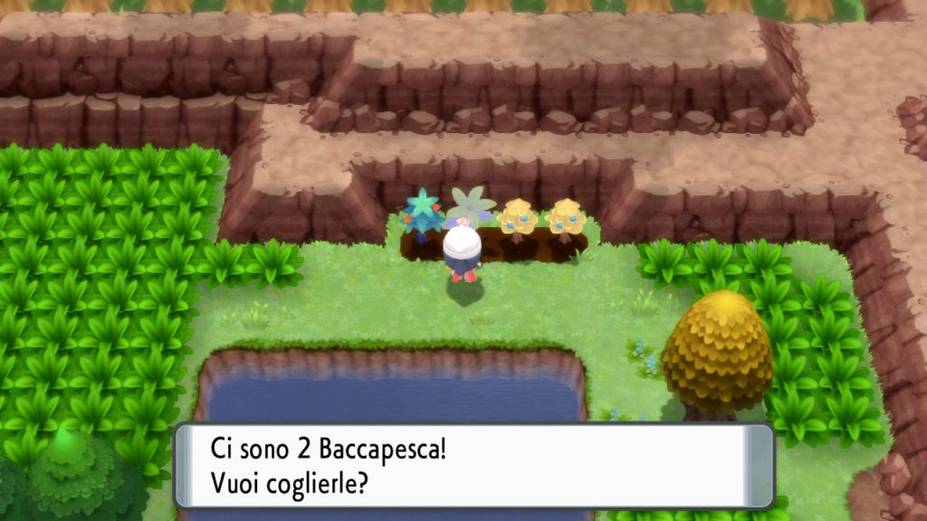 bacche mature pokémon diamante perla