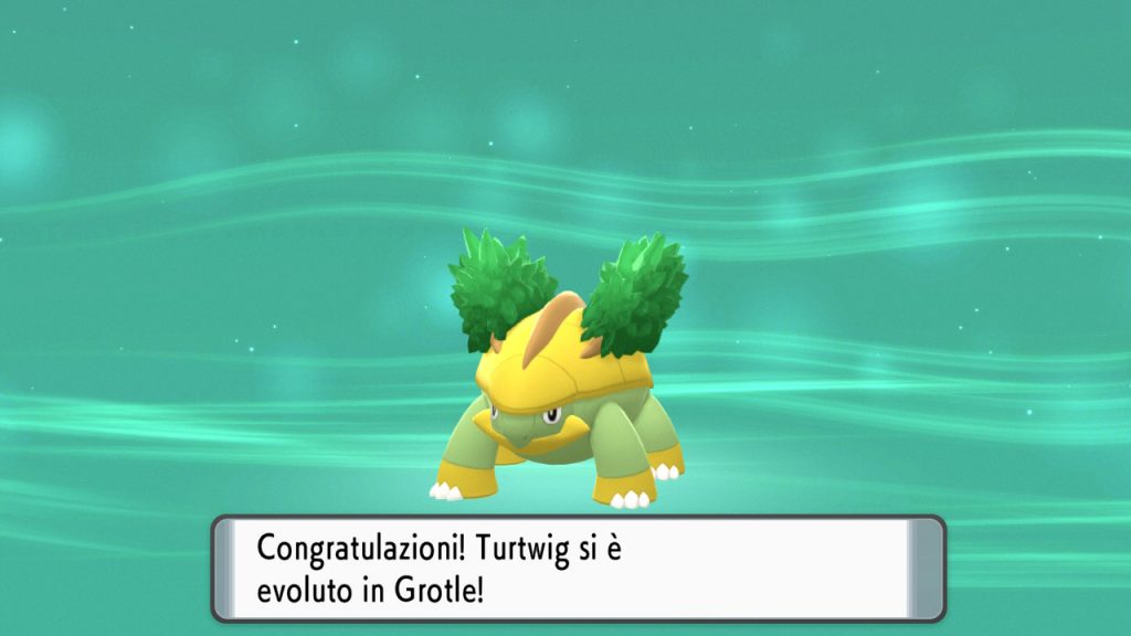 evoluzioni grotle pokémon diamante perla