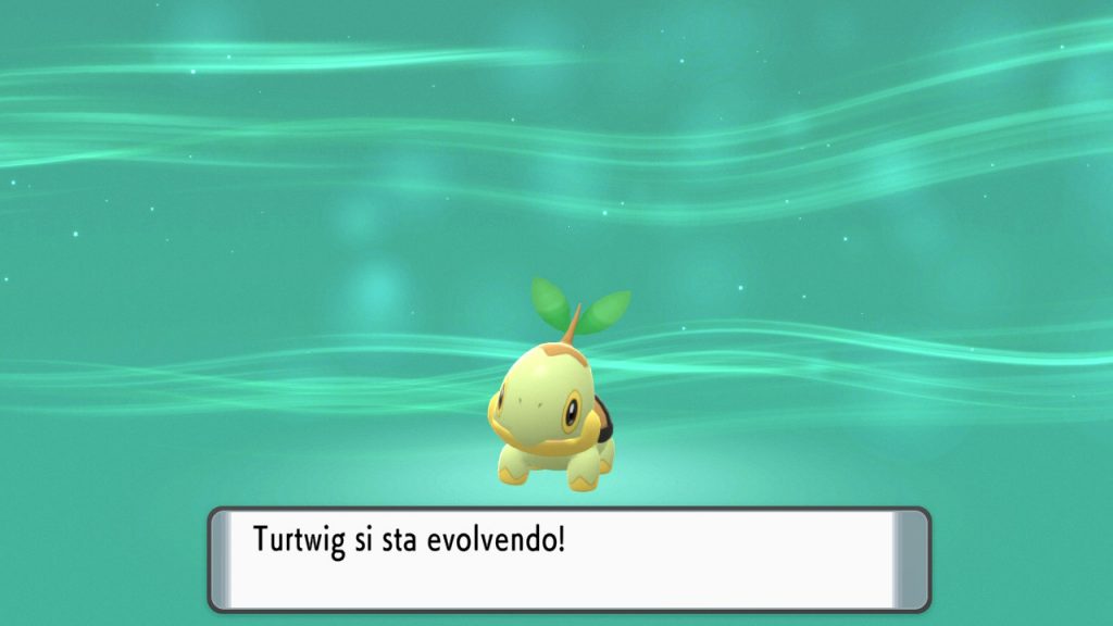 evoluzioni turtwig pokémon diamante perla