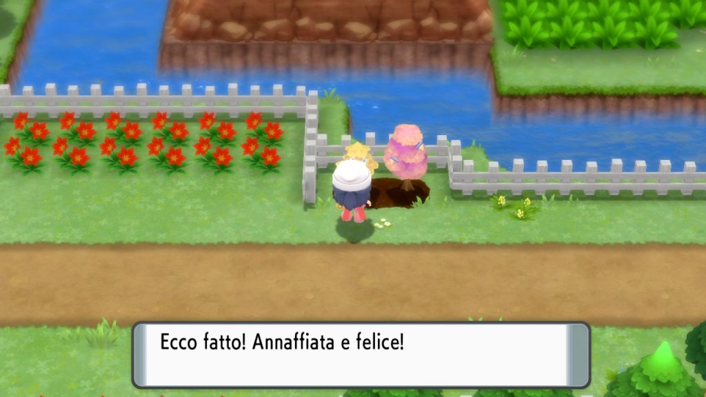 innaffiare le bacche in pokémon diamante perla