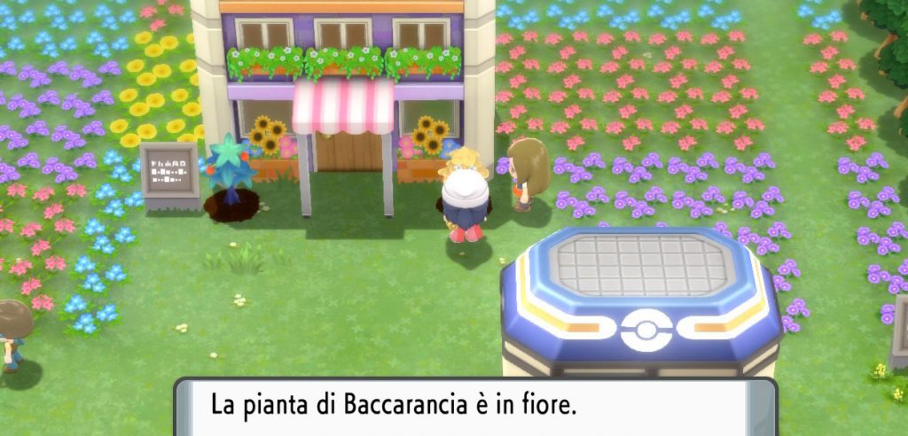 bacche pokémon diamante perla