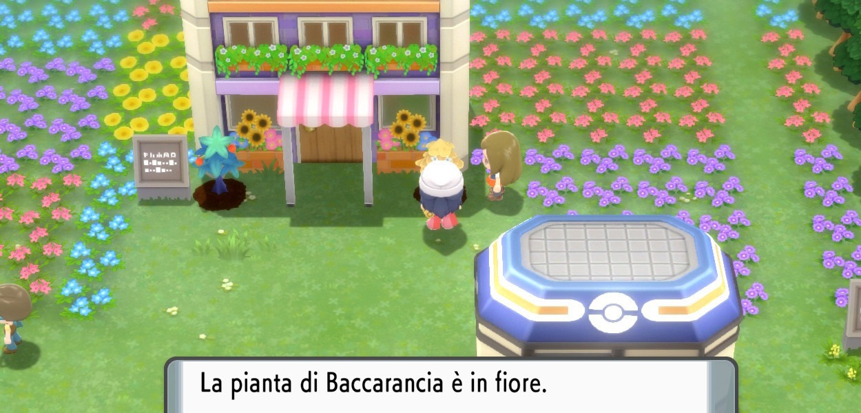 Come coltivare le bacche in Pokémon Diamante Lucente e Perla Splendente