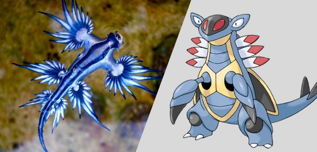 pokémon armaldo drago blu