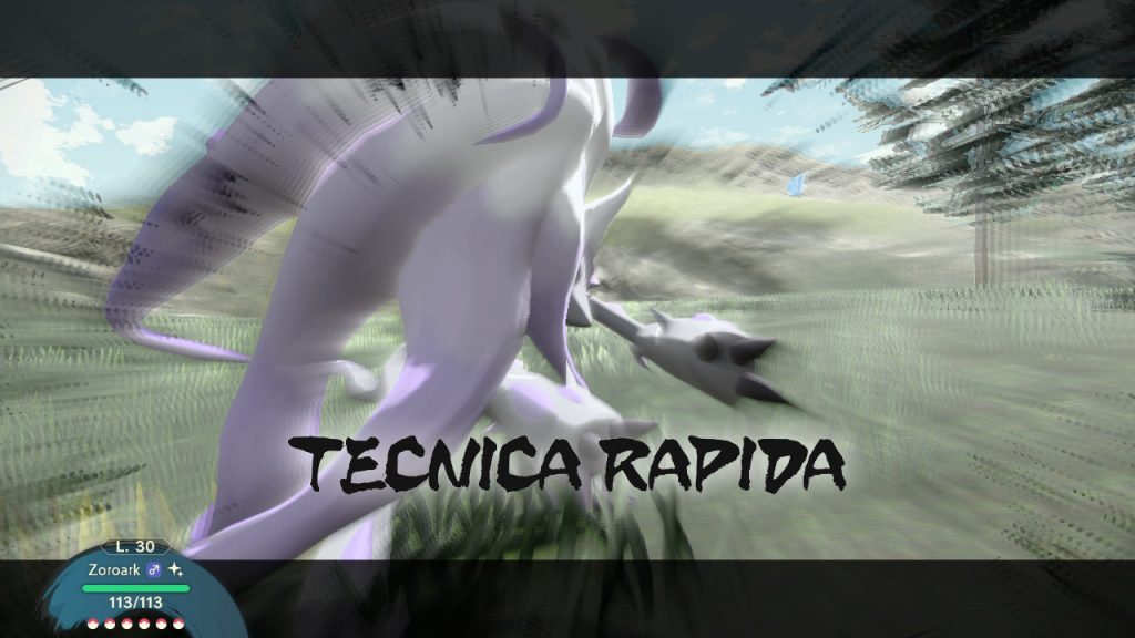 tecnica rapida