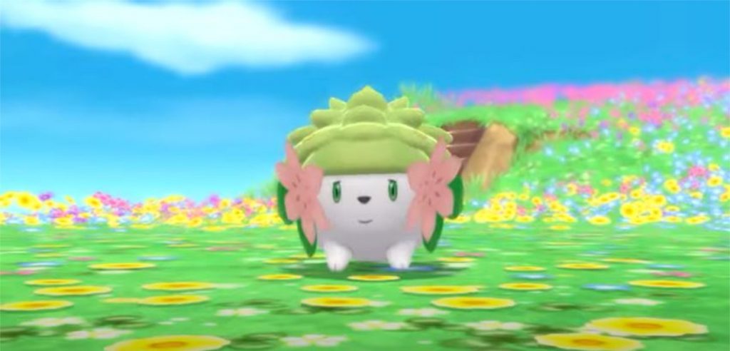 shaymin pokémon diamante perla