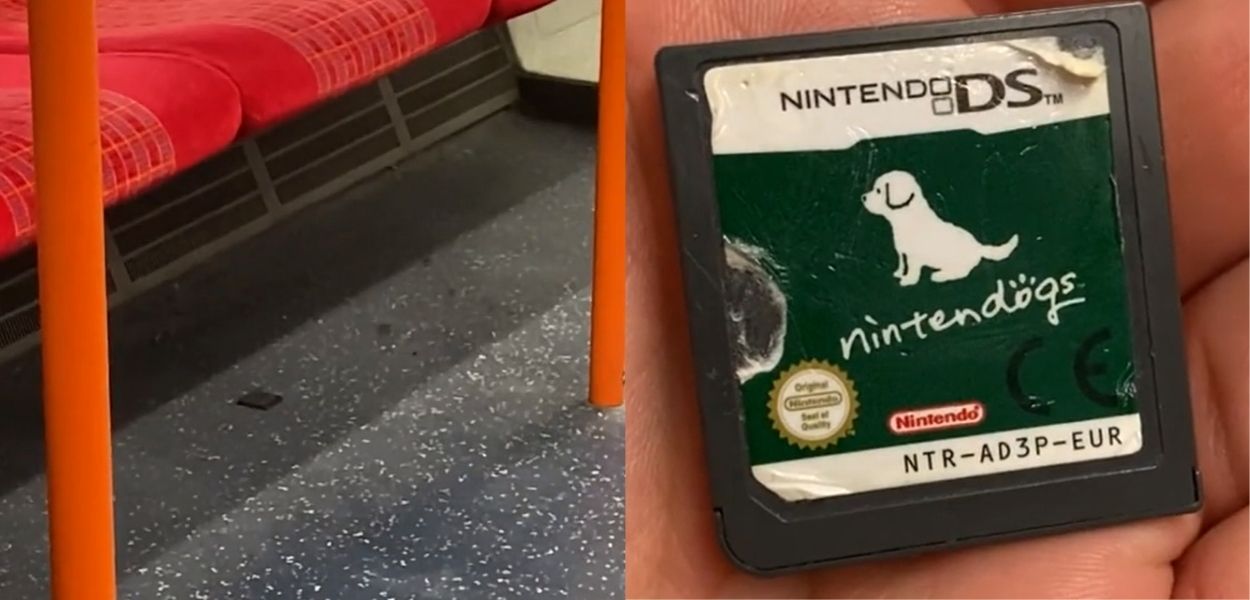 Un utente trova una cartuccia di Nintendogs abbandonata e 