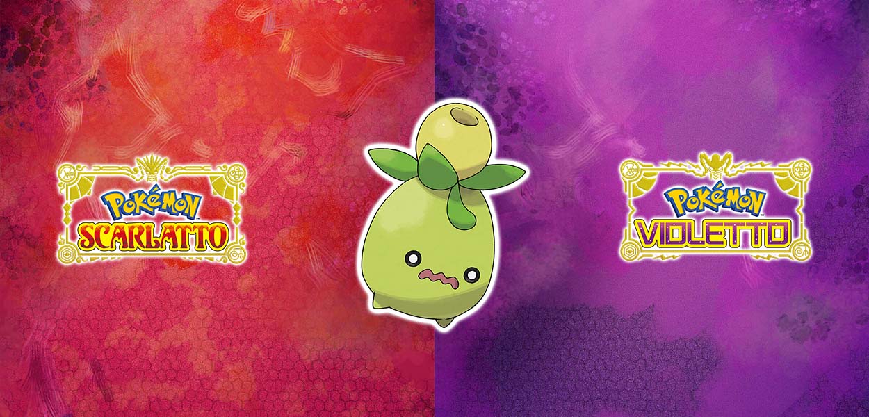 Smoliv, l'oliva dall'olio tremendamente amaro