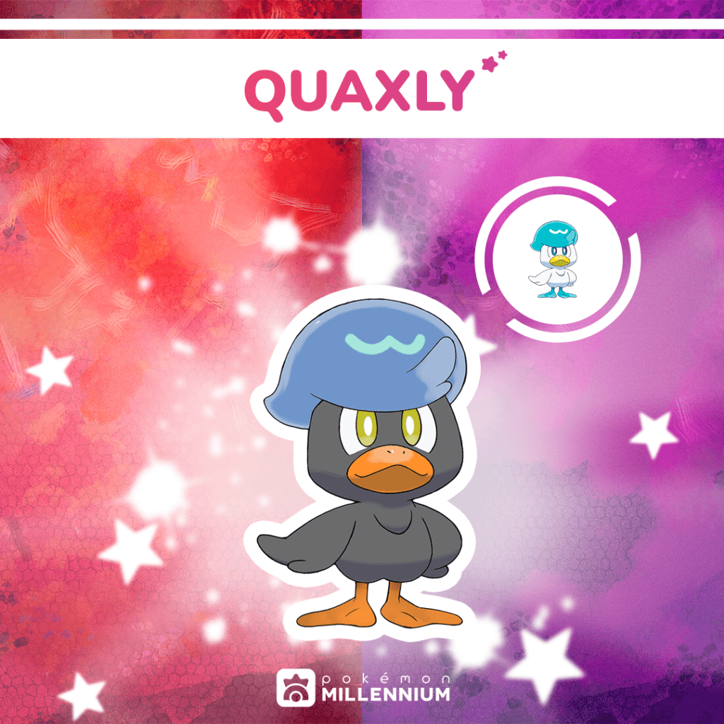 Quaxly cromatico