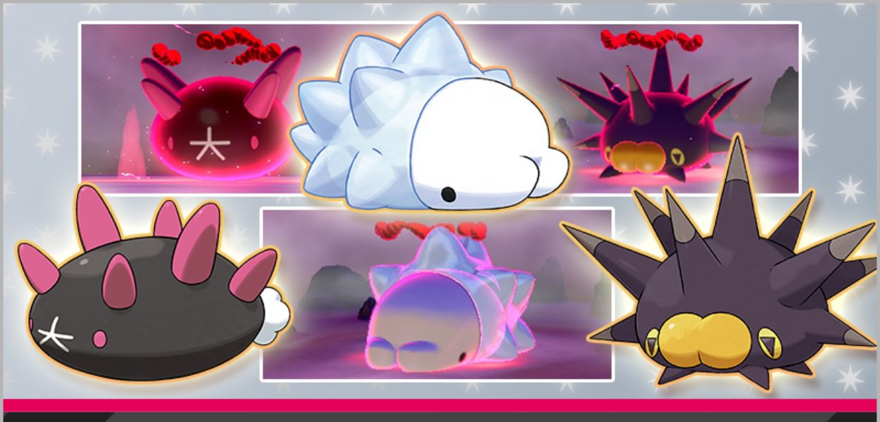 Pyukumuku, Pincurchin e Snom cromatico arrivano nei Raid di Pokémon Spada e Scudo