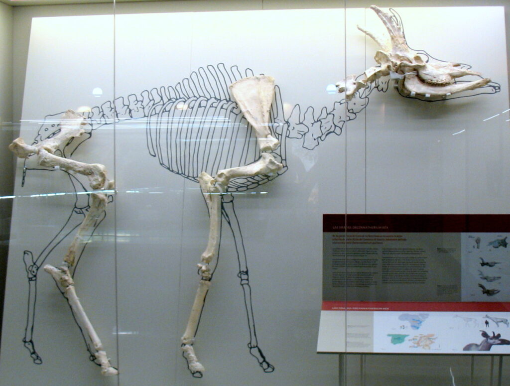 Decennatherium farigiraf