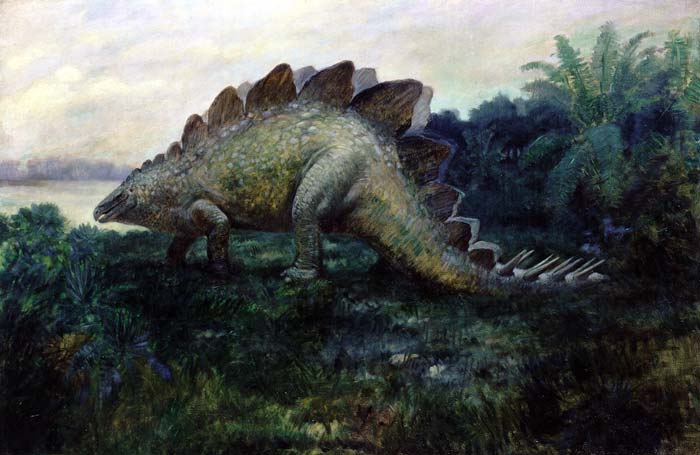 dinosauro stegosauro