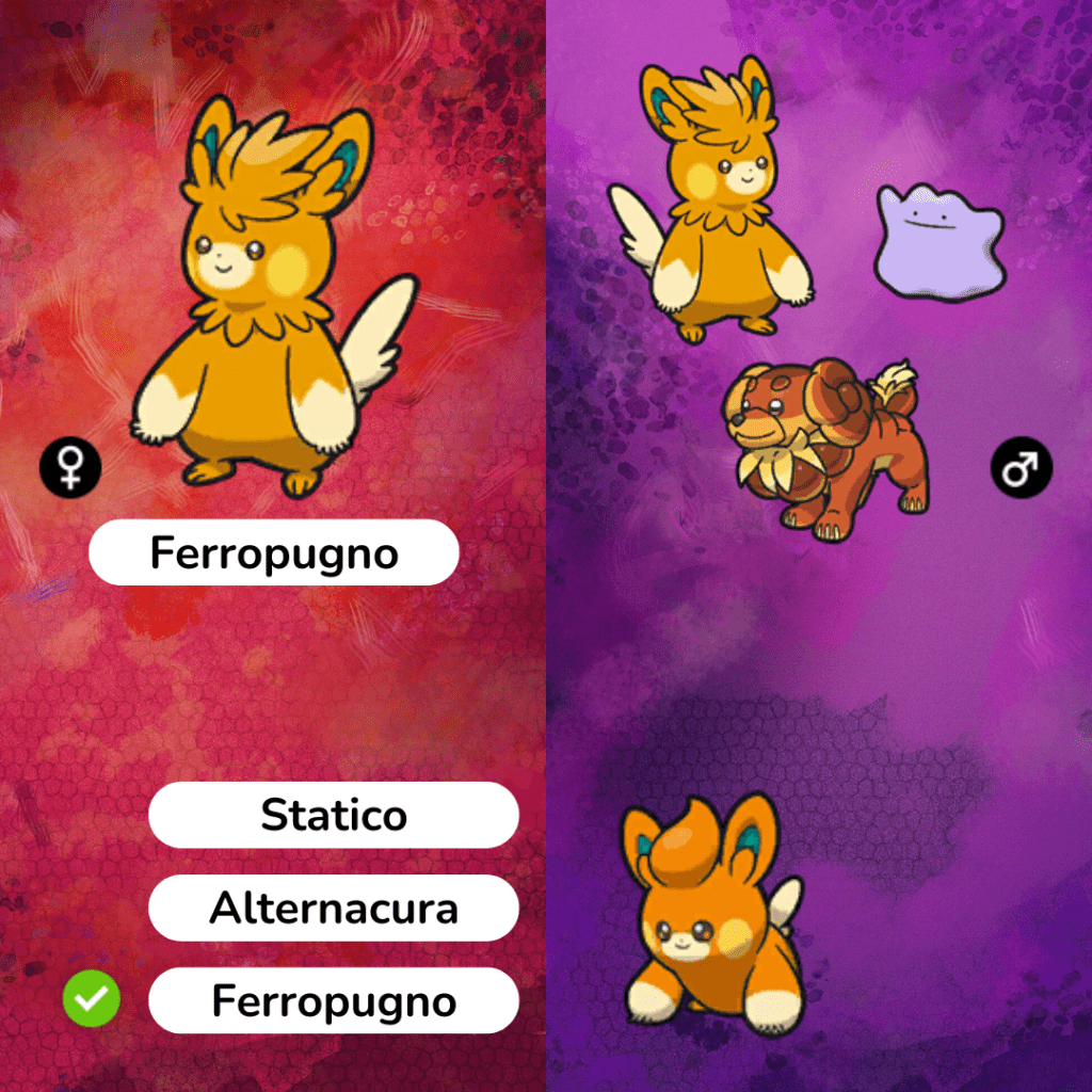 Pokémon Scarlatto Violetto breeding