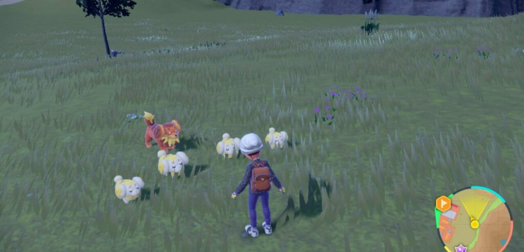 Orde Pokémon