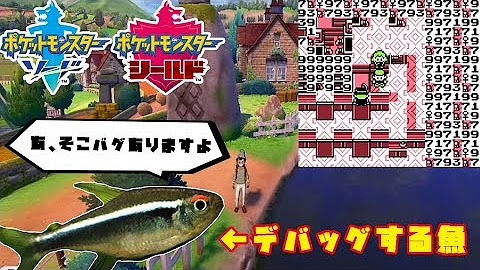 Copertina di Mutekimaru per la serie in cui i propri pesci avrebbero giocato a Pokémon Spada e Scudo