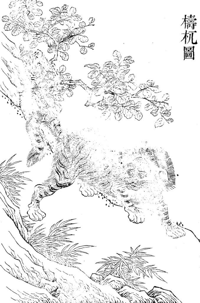 Raffigurazione di Tao Wu, ispirazione del leggendario di Paldea Wo-Chien 