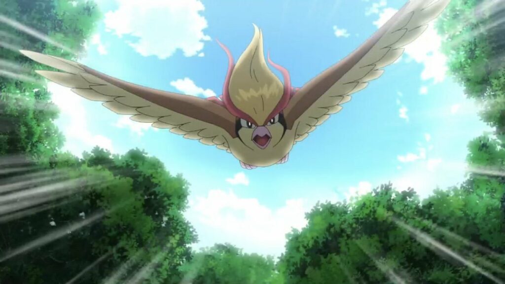 Pidgeot anime Pokémon