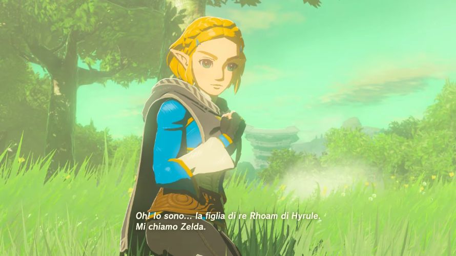 Zelda Tears of the Kingdom