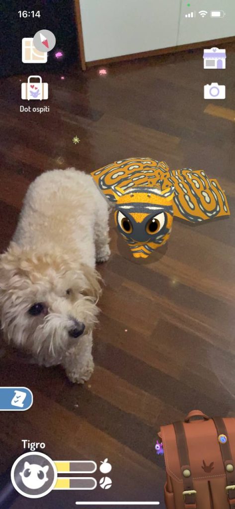 Foto dell'interfaccia di gioco di Peridot con un Dot di fianco a un cane.