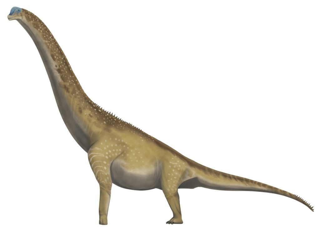 brachiosauro