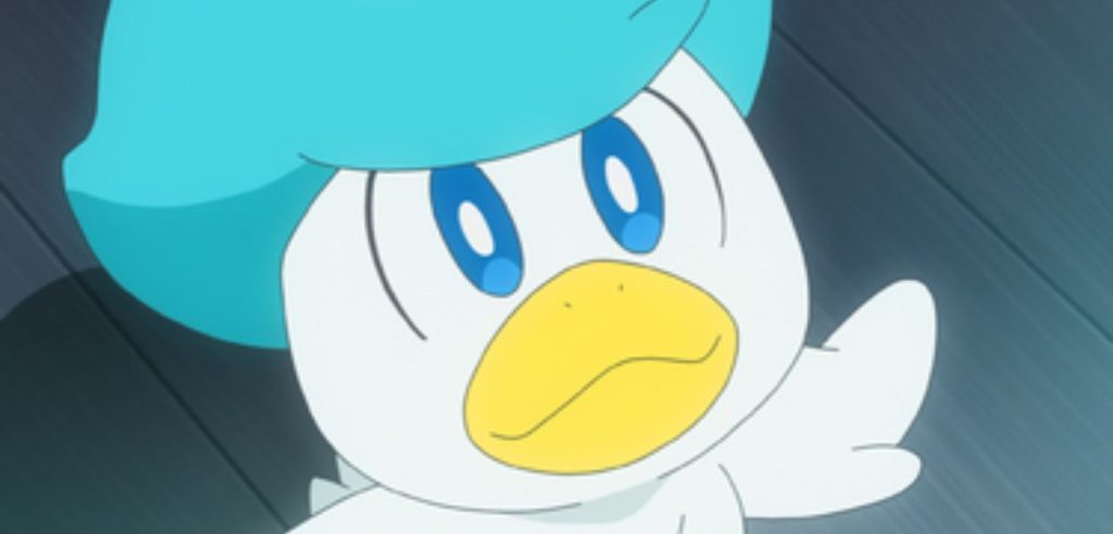 quaxly anime
