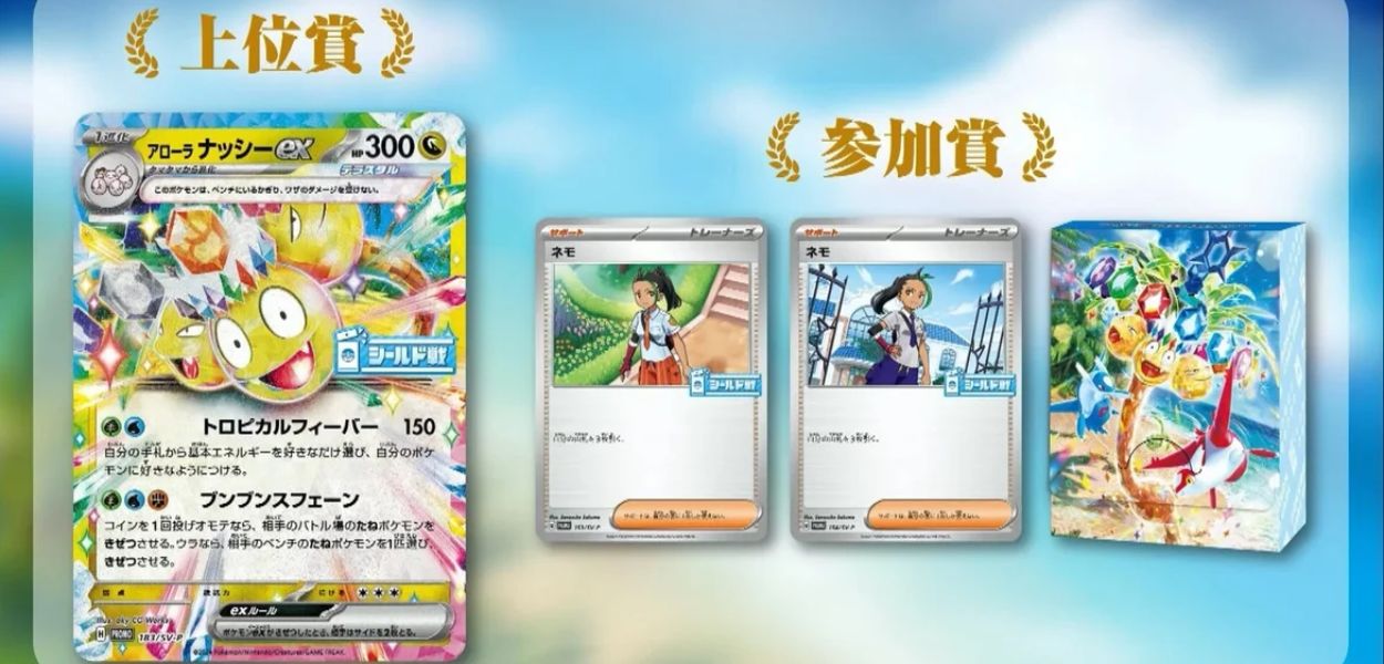 torneo paradise dragona