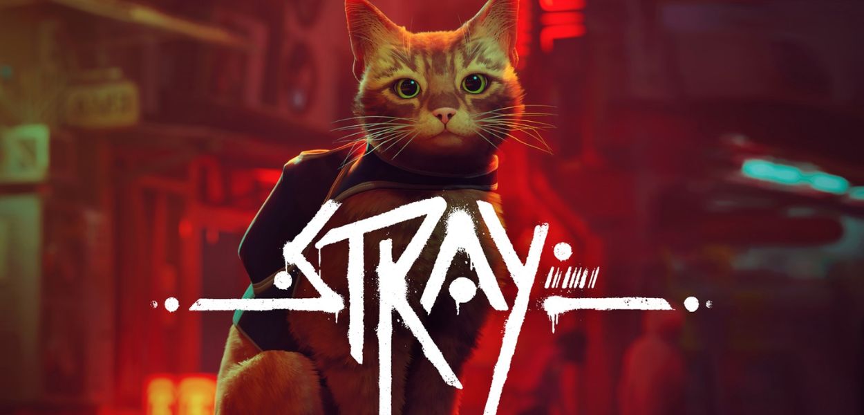 stray nintendo switch