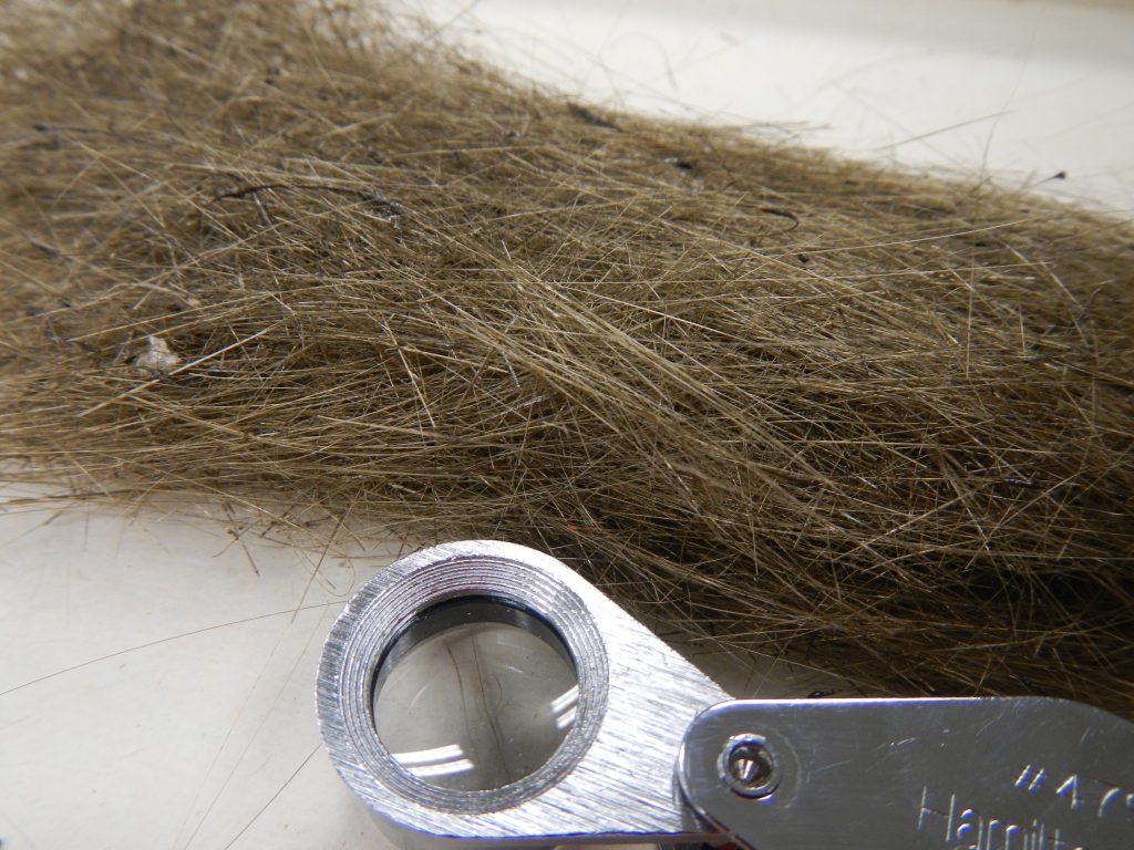 capelli Pele
