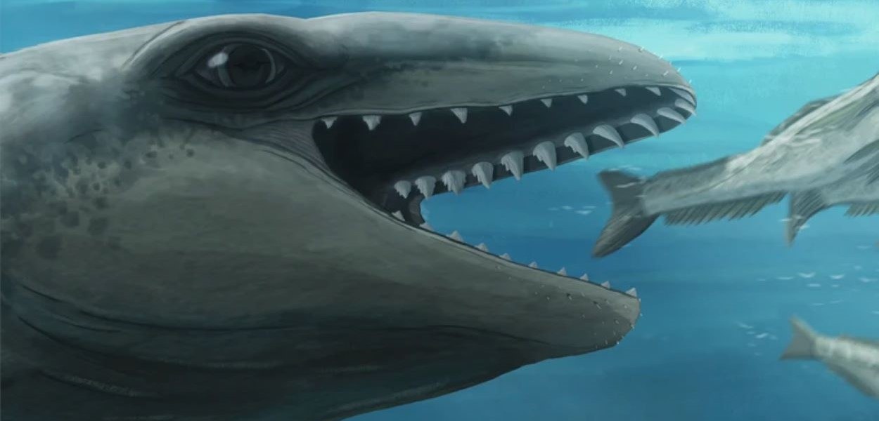 Scoperti i resti fossili di una creatura marina che ricorda un Pokémon