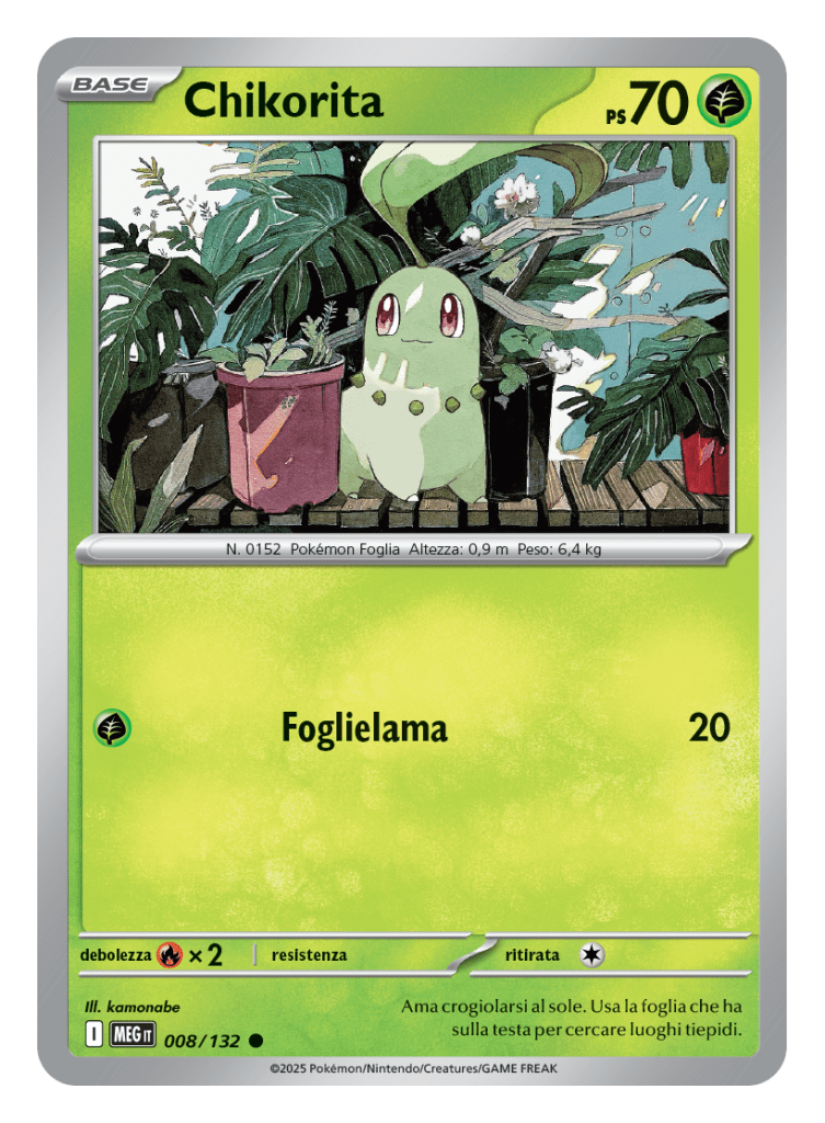 Chikorita