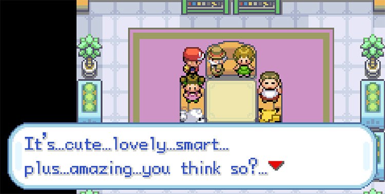 Rapidash presidente Pokémon fan club