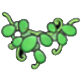 Ornamento da parete con foglie