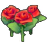 Fiori splendidi