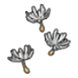 Lanuggine