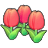 Fiori graziosi