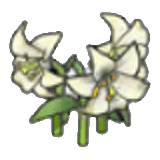 Fiori eleganti