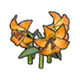 Fiori eleganti (arancioni)