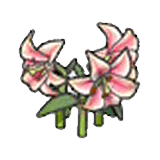 Fiori eleganti (rosa)