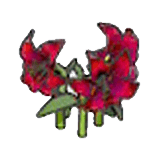 Fiori eleganti (rossi)