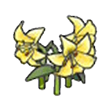 Fiori eleganti (gialli)