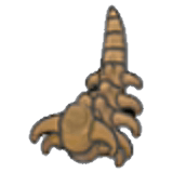 Fossilcranioso (coda)