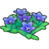 Fiori montani