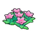 Fiori montani (rosa)