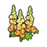 Fiori vigorosi (arancioni)