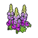 Fiori vigorosi (viola)