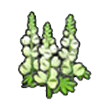 Fiori vigorosi (bianchi)