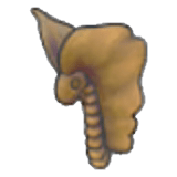Fossiltundra (testa)