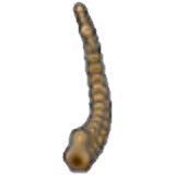 Fossiltundra (coda)
