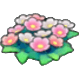 Fiori di campo