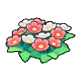 Fiori di campo (rossi)