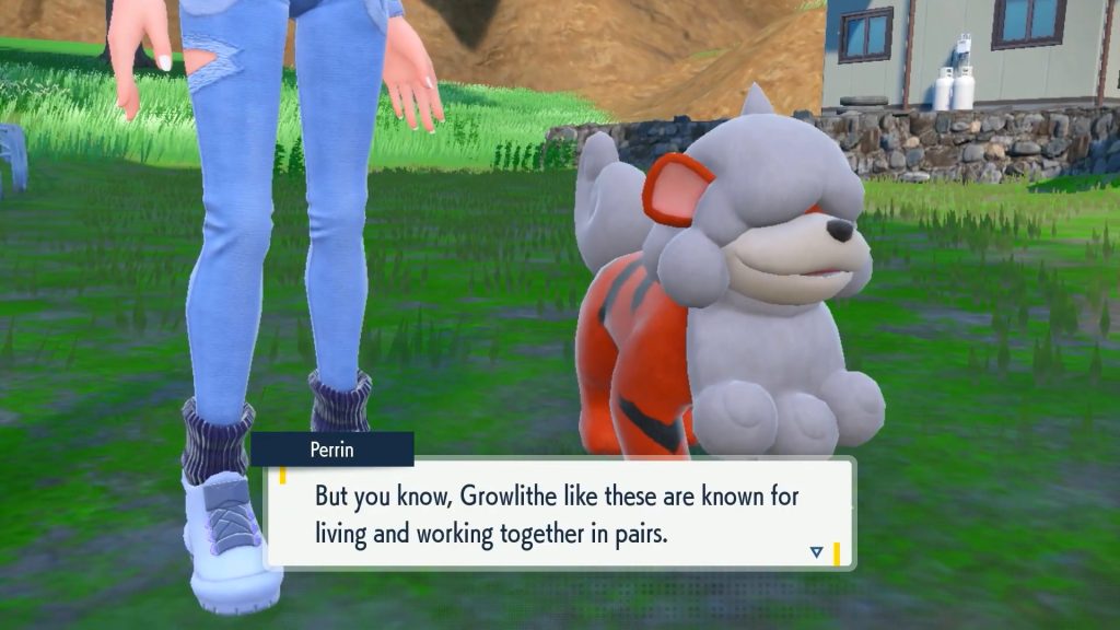 Pokémon Growlithe Hisui Perrin